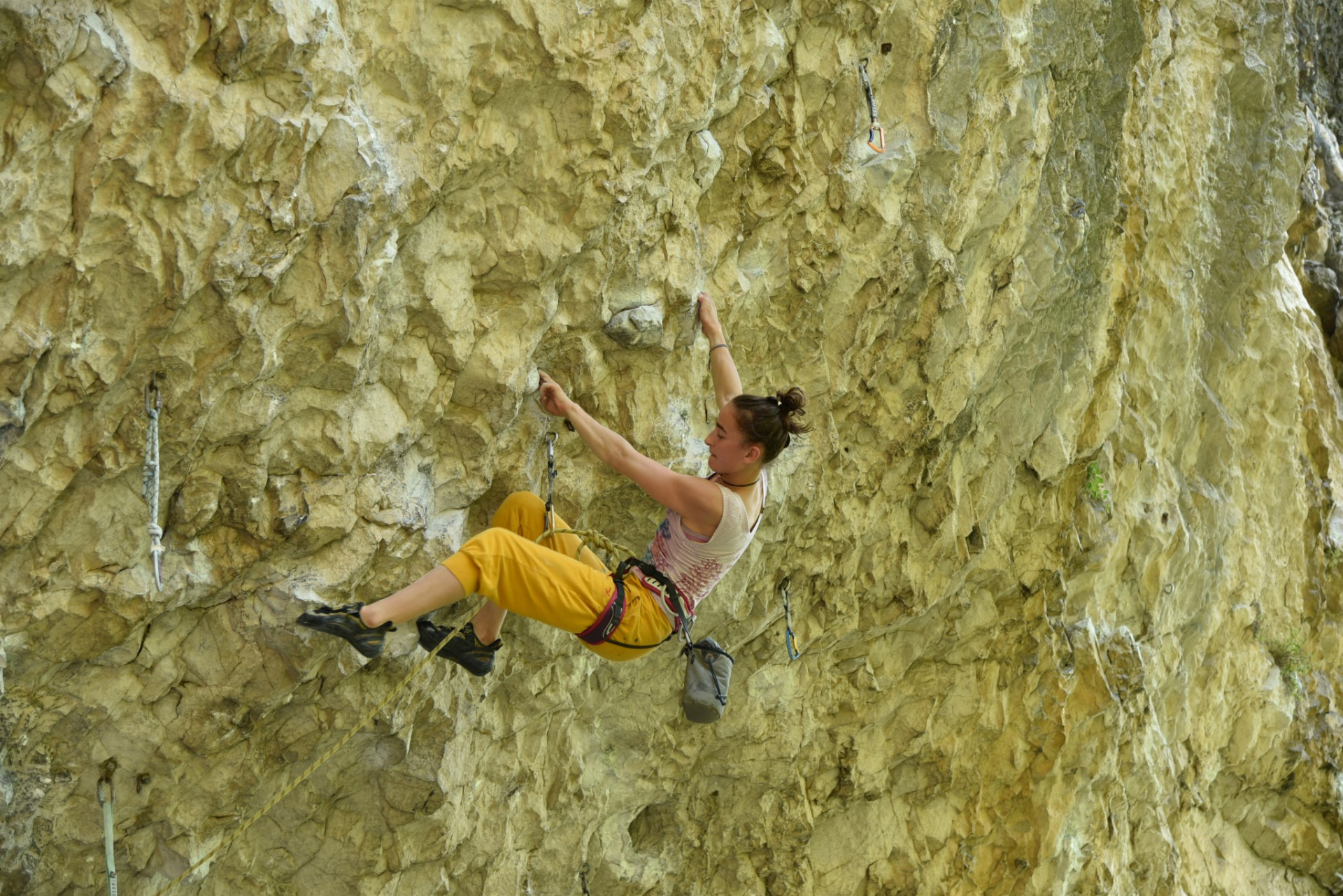 184cddc286a797a4a0cc8d10ad27f29c