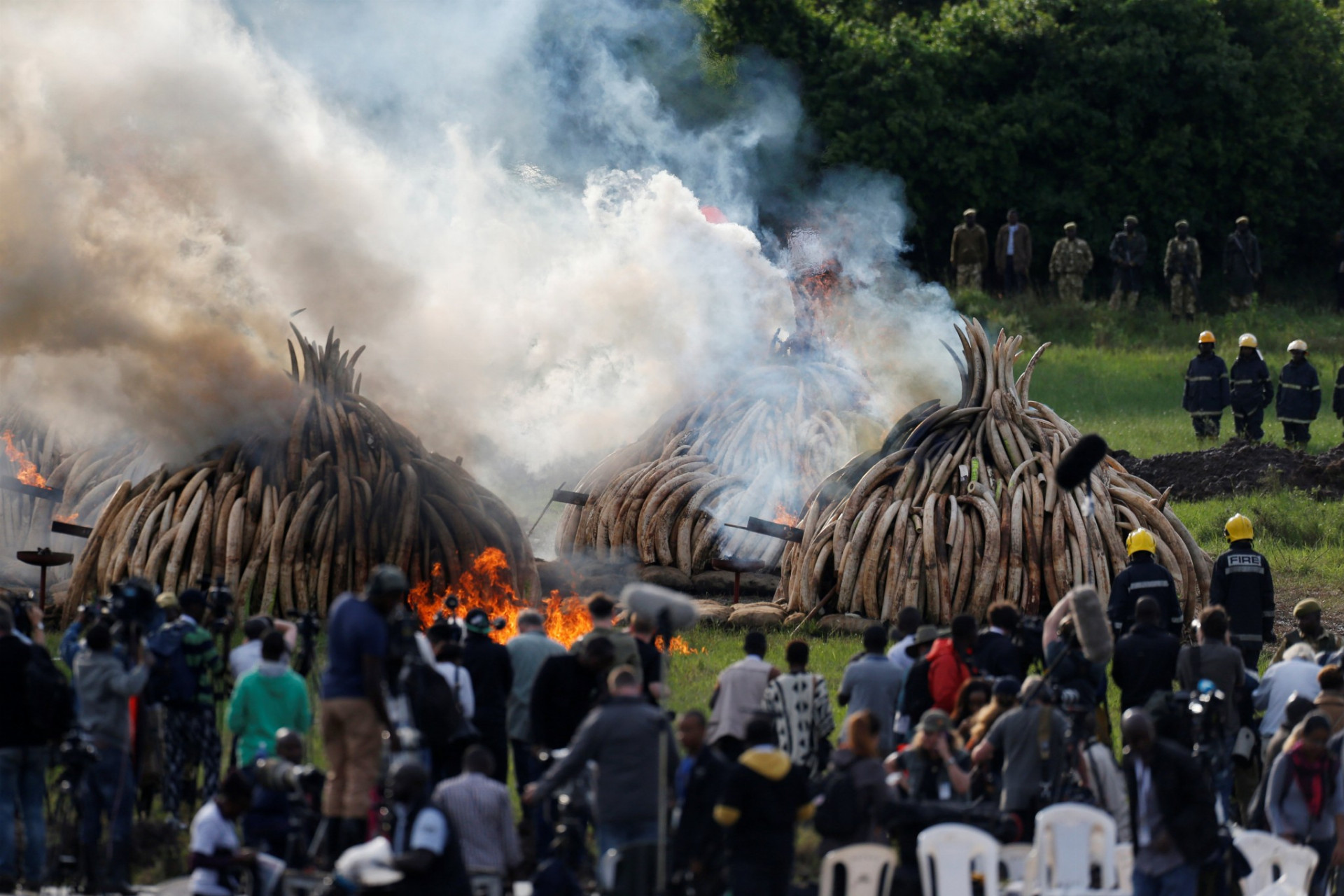 Pílenie slonoviny v Keni