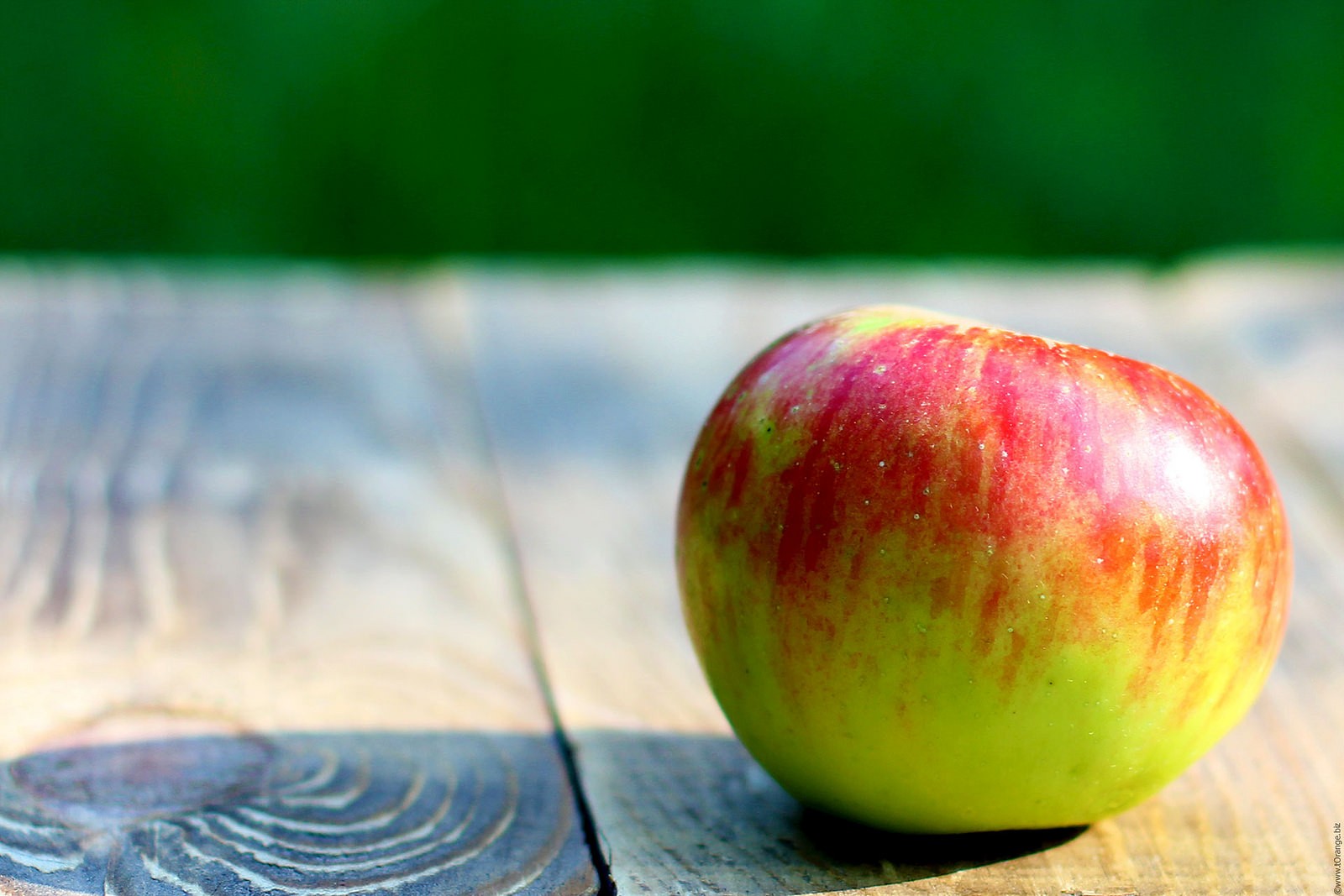 Hovorí sa, že jedno jablko denne pôsobí lepšie ako sto doktorov a niečo na tom bude. Jablká sú prospešné predovšetkým vďaka obsahu vlákniny a to rozpustnej aj nerozpustnej. Rozpustná vláknina pektín pomáha znižovať hladinu cholesterolu a tým znižuje riziko srdcových chorôb. Nerozpustná vláknina v jablkách potom pomáha udržiavať zdravé trávenie. David Grotto radí jablká nezbavovať šupky, ale konzumovať ich aj s ňou, keďže väčšina vlákniny a mnoho antioxidantov sa nachádza práve v šupke tohto ovocia.