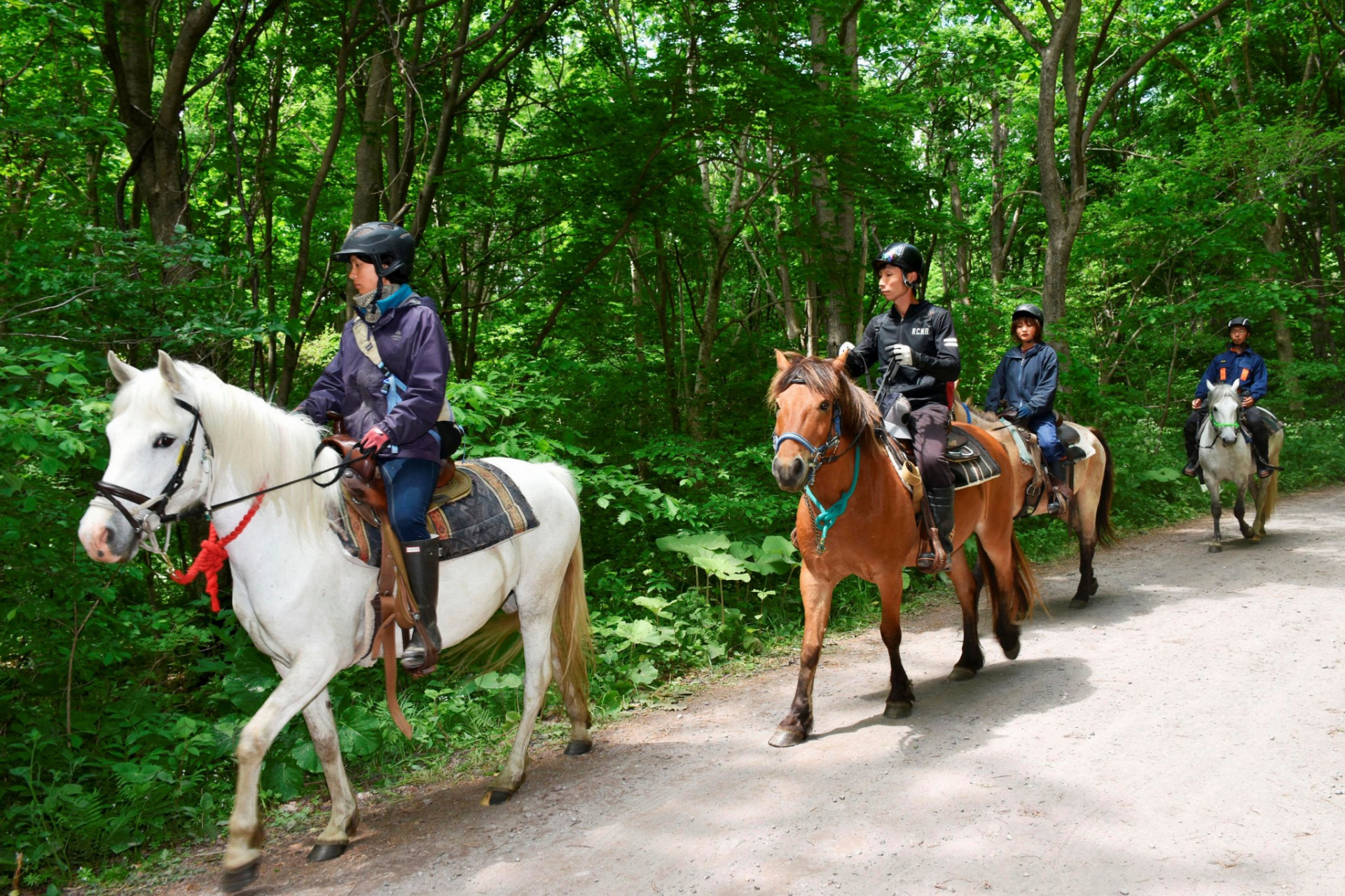Policajti na koňoch hľadajú sedemročného chlapca, ktorého rodičia nechali za trest v lese samého.