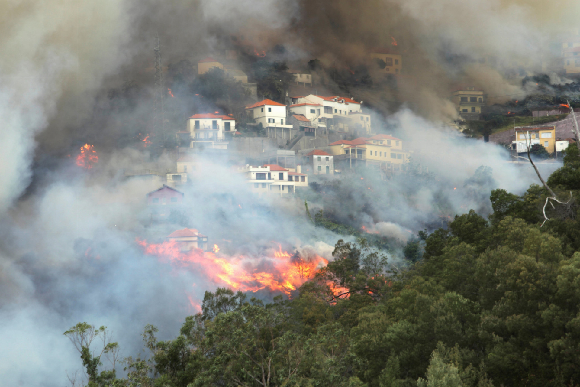 Les i okolité domy sú plameňoch.