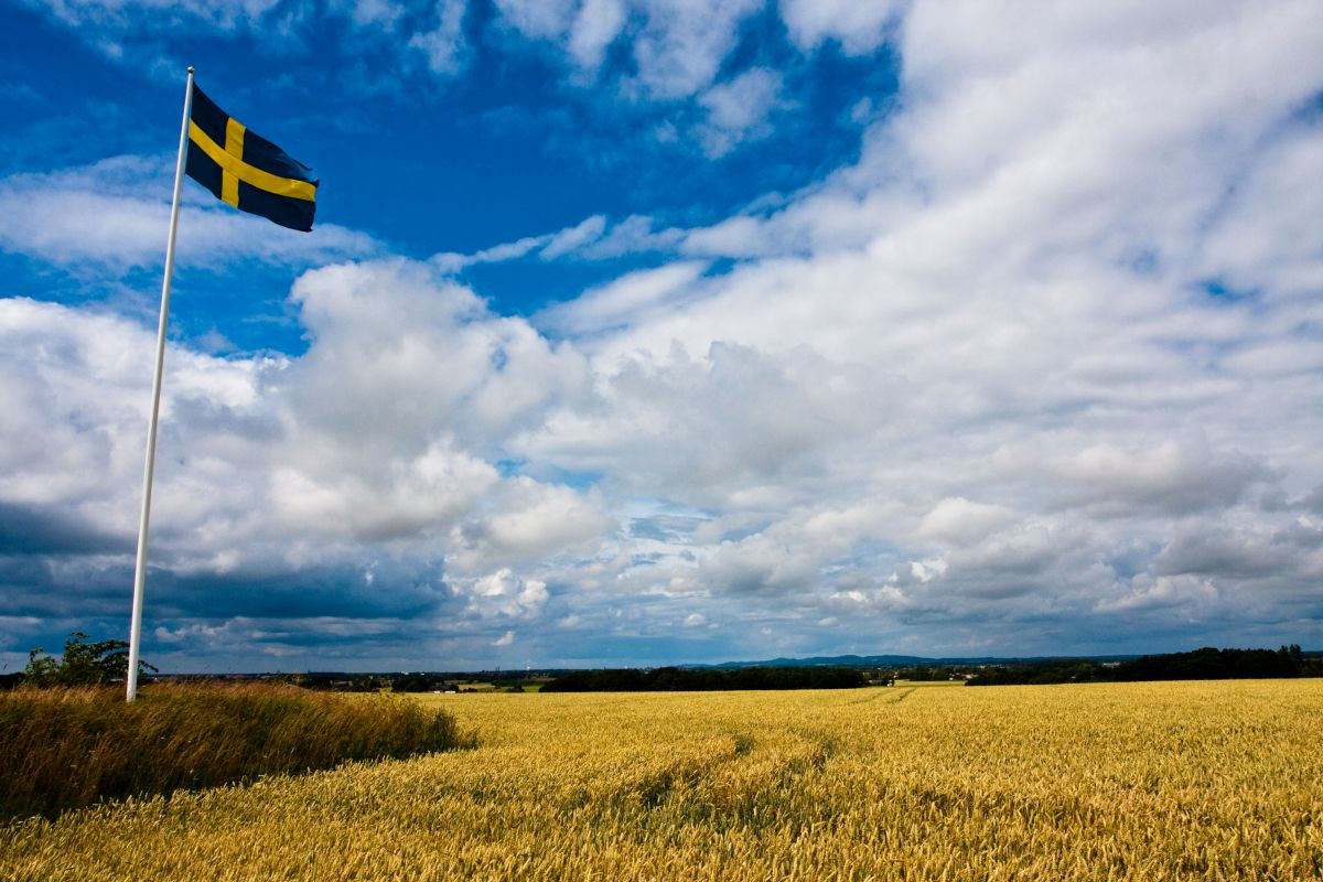 Švédsko je krajinou Európskej únie s najväčšou mierou naturalizácie. Údaj vyjadruje pomer 6,3 získaných občianstiev na 100 cudzincov s pobytom.