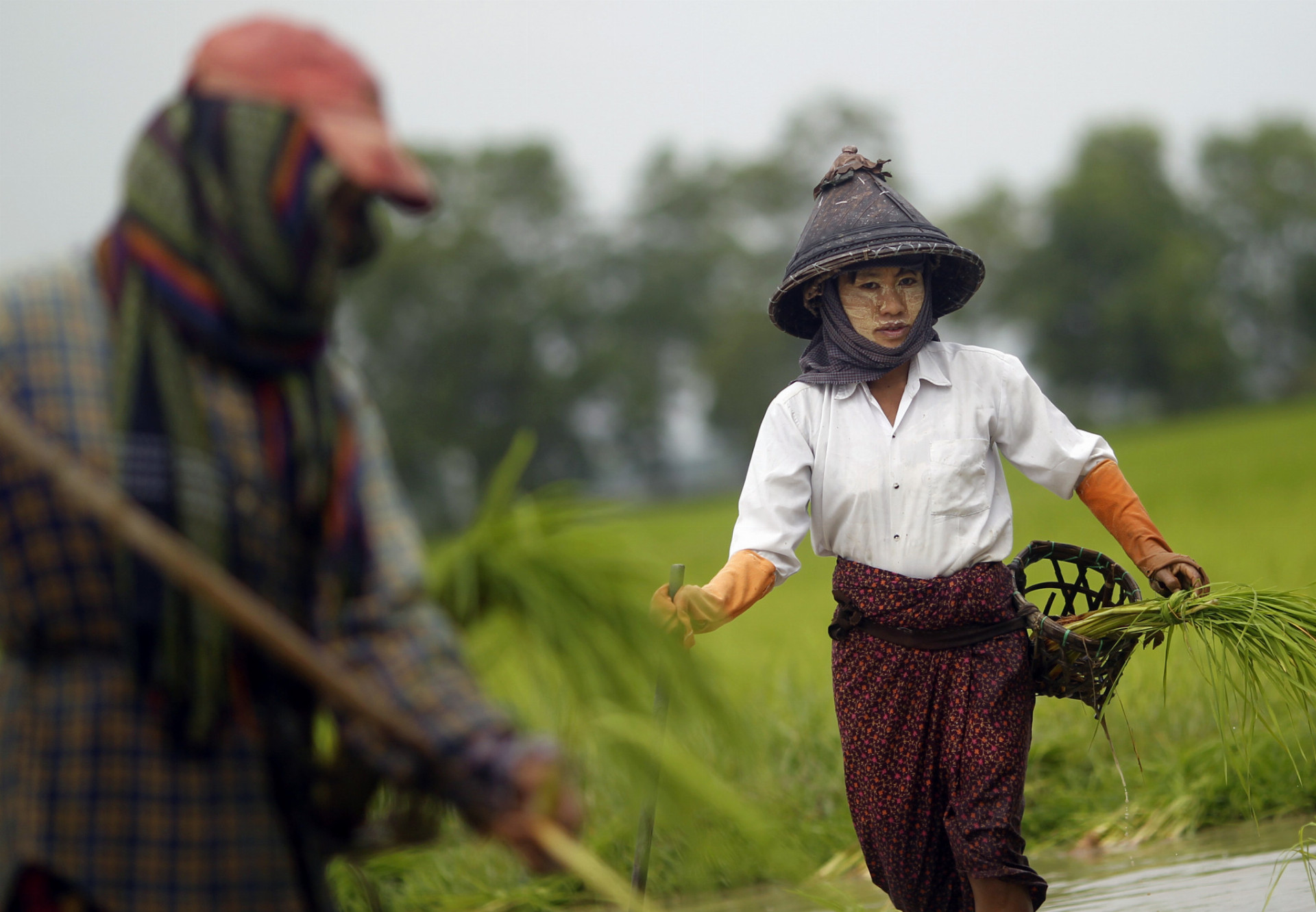 Vo vidieckych oblastiach Vietnamu stále prevládajú poľnohospodárstvo či ťažba surovín. V mestách už dominujú moderné technológie
