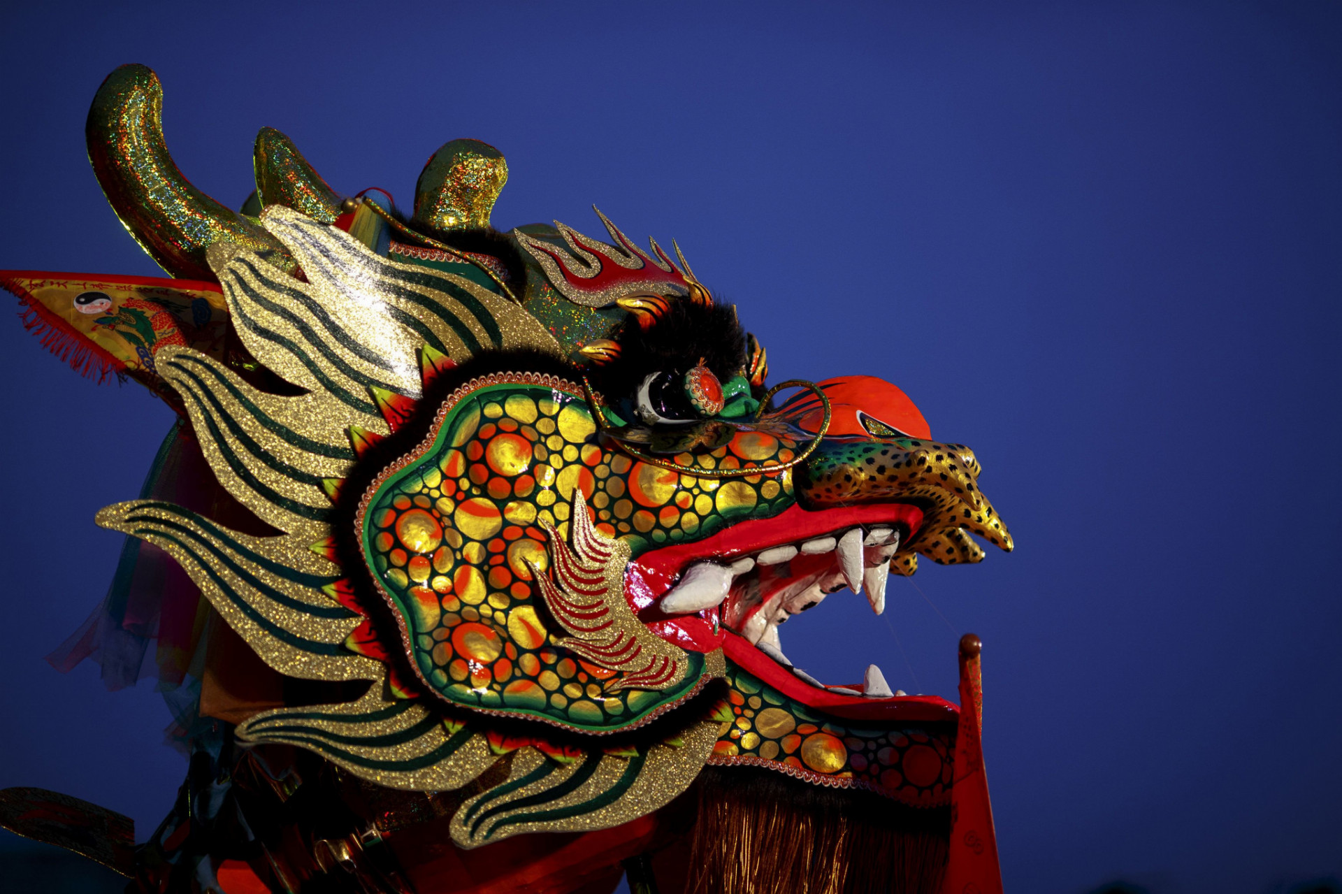 Čínsky drak minulý rok minul v Nemecku 11 miliárd eur.