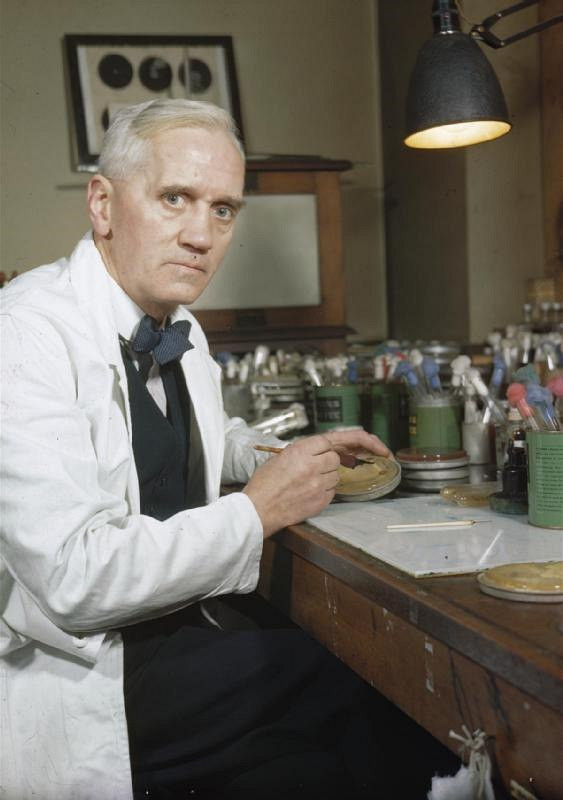 Profesor Alexander Fleming (1881 - 1955)  