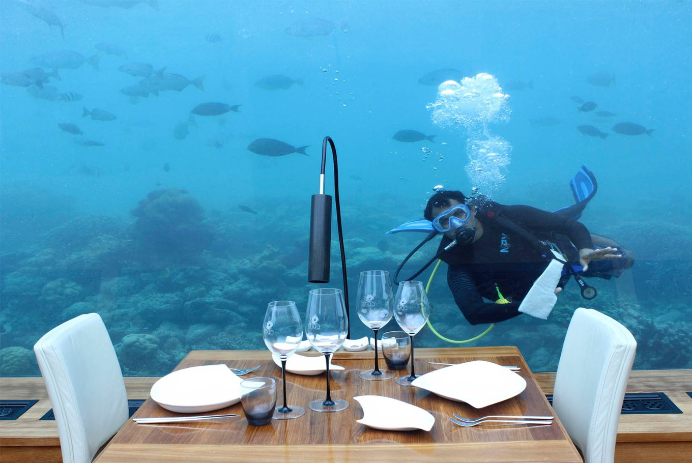 Netradičné upratovacie čaty majú podvodné reštaurácie v luxusnom rezorte Conrad na Maledivoch. Masívne morské nádrže sa upratujú trikrát denne, každé čistenie trvá okolo 20 minút. 