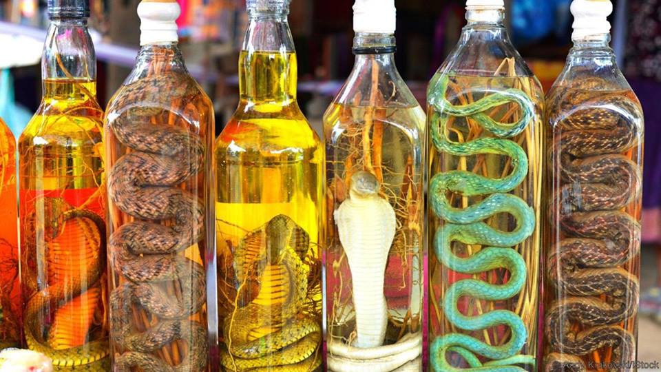 Tento nápoj má údajne veľké posilňujúce účinky. Je obľúbený napríklad v Číne a Vietname. Hada pridávajú aj do ryžového vína alebo zmiešajú jeho telesné tekutiny, ako je krv, s alkoholom.