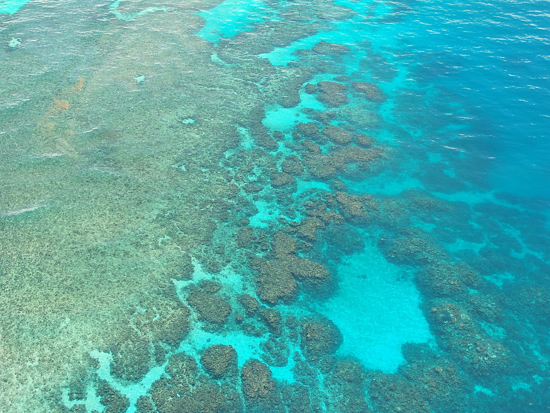 Austrálsky Veľký bariérový útes v roku 2015 len tak tak unikol tomu, aby ho zaradili do zoznamu ohrozeného svetového kultúrneho dedičstva UNESCO. V júli 2016 už vyhlásili, že 25 percent z útesu je zničených kvôli vymieraniu korálov. Bielenie koralov spôsobujú vysoké teploty vody. Organizmy, ktoré žijú s koralmi v symbióze a dodávajú im sfarbenie, ich v takýchto podmienkach opúšťajú. Ak zmiznú všetky riasy, koraly umierajú a útesy sa drobia. Túto katastrofu spôsobujú klimatické zmeny. Niektorí vedci si myslia, že je príliš neskoro na záchranu útesu. Stále však ešte existujú stovky kilometrov zdravého útesu, ktoré sa oplatí vidieť a zároveň sa informovať o miestnych programov, ktoré sa snažia o vyčistenie korálov.
