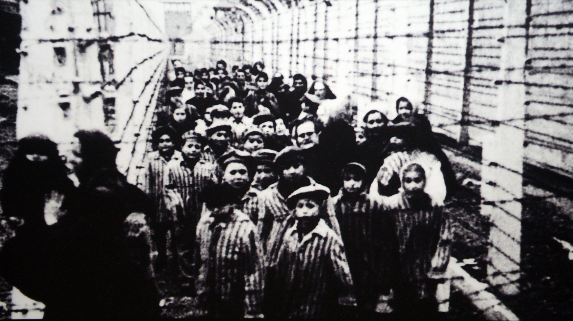 Do nacistického vyhladzovacieho tábora v Osvienčime bolo počas vojny deportovaných približne 2,5 milióna ľudí, podľa odhadov ich tam viac než milión zavraždili.
