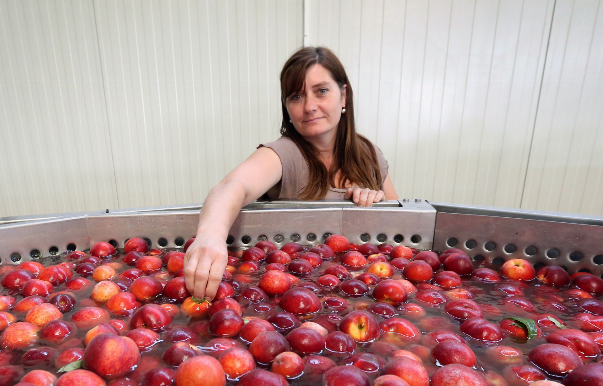 Aj tento rok je najviac ohrozená úroda jabĺk, ale poškodené boli aj broskyne.