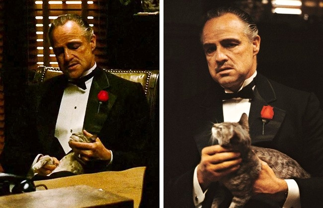 V jednej z najpamätnejších scén, kde vysvetľuje Vito Corleone svoju predstavu o priateľstve k podnikateľovi Bonaserovi, drží na kolenách mačku. Ukázalo sa, že zviera nebolo súčasťou skriptu- votrelo sa na nakrúcanie a Marlon Brando si ho jednoducho vzal do rúk.