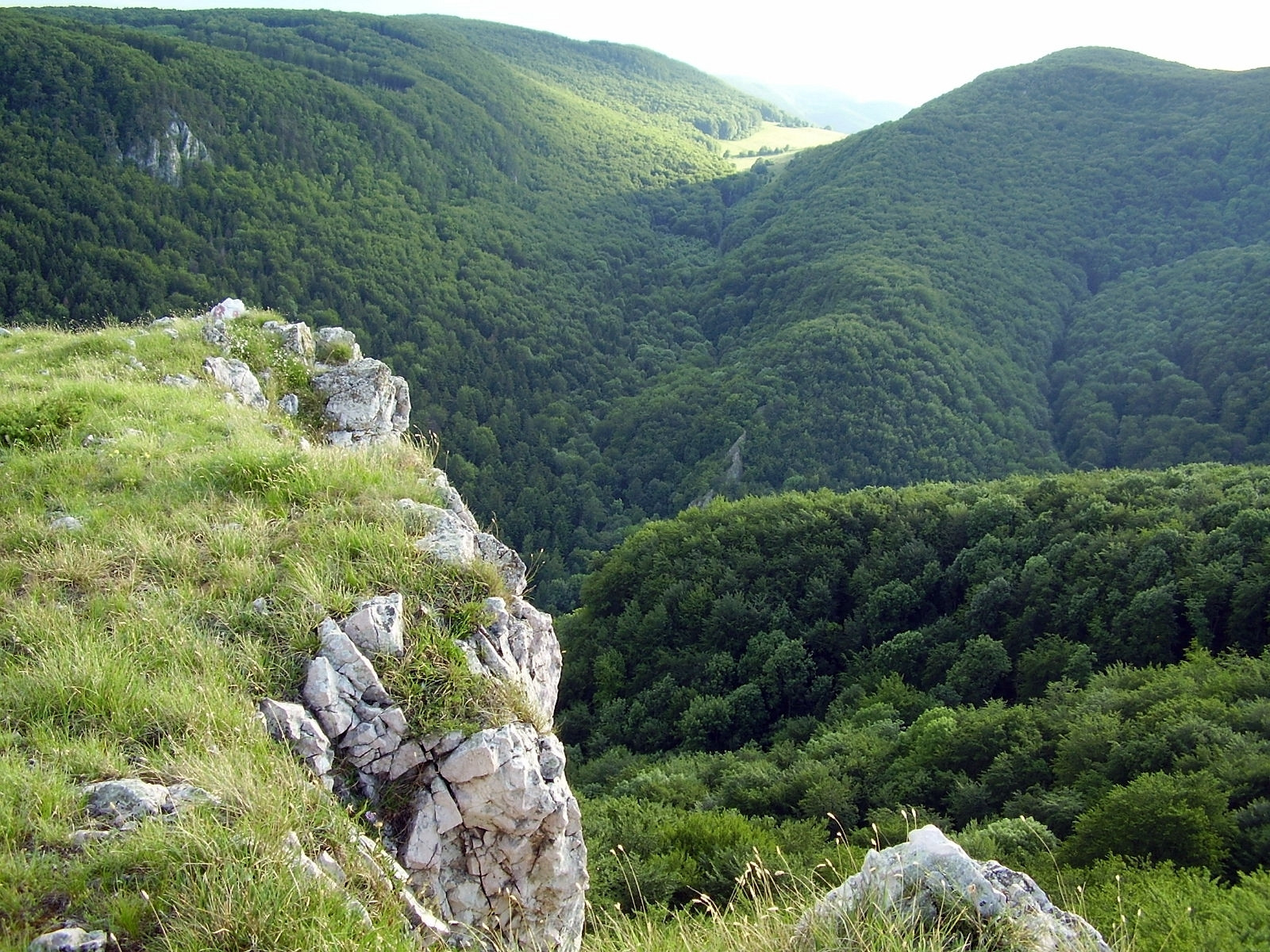 Už podľa názvu je jasné, že na tomto území nájdete početné krasové útvary. Slovenský kras neďaleko maďarských hraníc je najväčším krasovým územím v strednej Európe. Zároveň má najviac podzemných priestorov, jaskýň a priepastí - viac ako 1100. Svojou výnimočnosťou to dotiahli až na zoznam svetového prírodného dedičstva UNESCO. Napríklad jaskynný systém Skalistého potoka je dlhý až 5,6 kilometra. Samozrejme, aj tu nájdete bohatú sieť turistických trás, cyklotrás ale aj kopec možností na horolezectvo alebo bežkovanie. Ak vás Slovenský kras zaujal, zamierte do okresov Rožňava a Košice-okolie. 

Tipy na výlet: jaskyňa Domica, Zádielska tiesňava, Krásnohorská jaskyňa, Silická ľadnica, kaštieľ Betliar