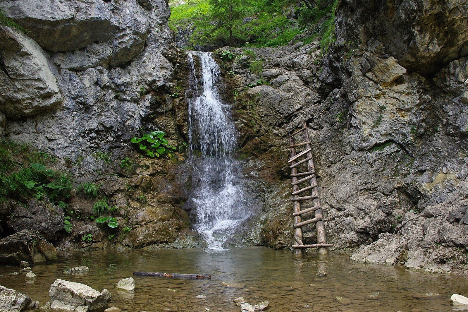 a92e729dbecabb5aeb0ffc5f49a3b1b5