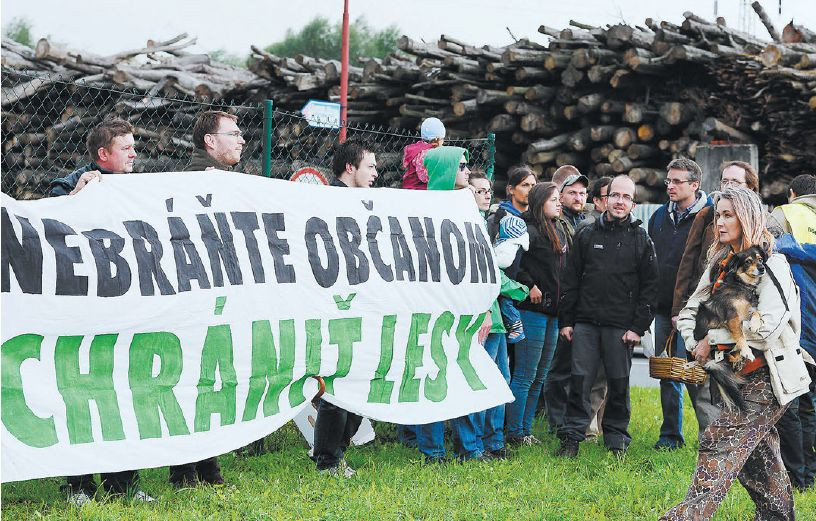 Kvôli ochrane lesov boli na Slovensku už aj v minulosti organizované protestné zhromaždenia.
