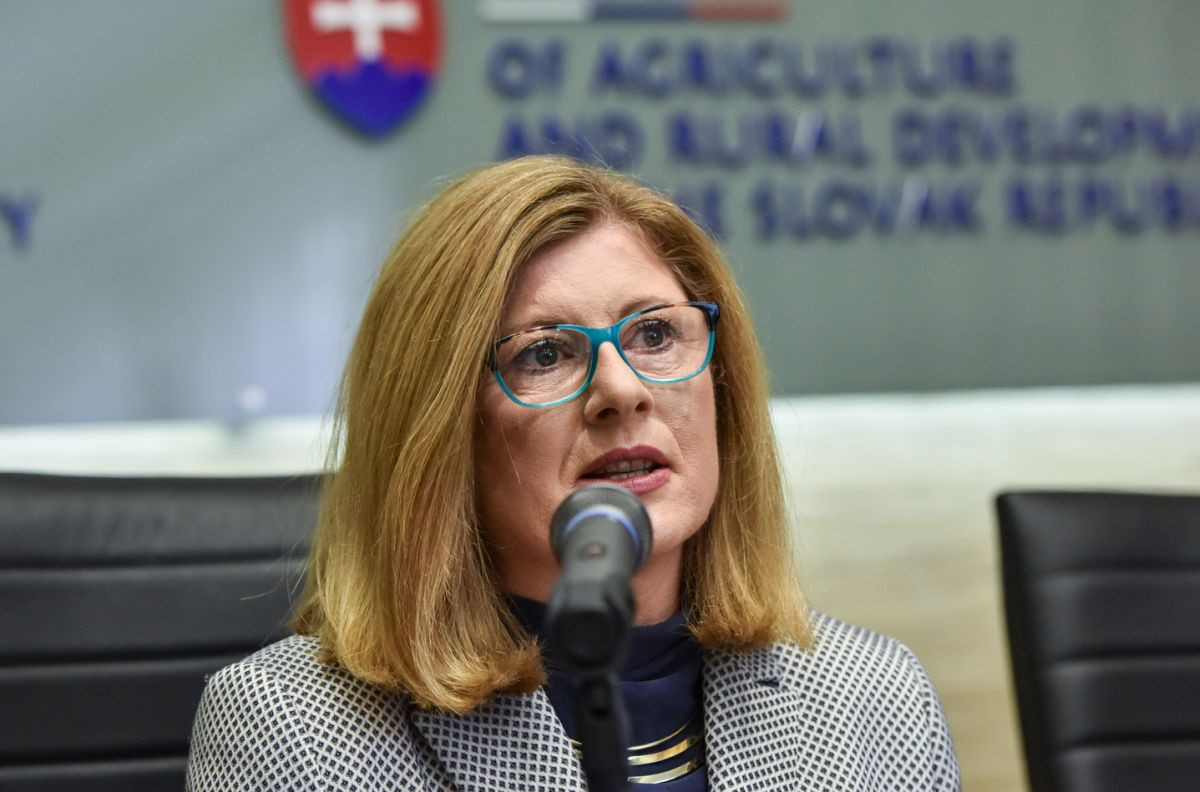 Ministerka pôdohospodárstva Gabriela Matečná