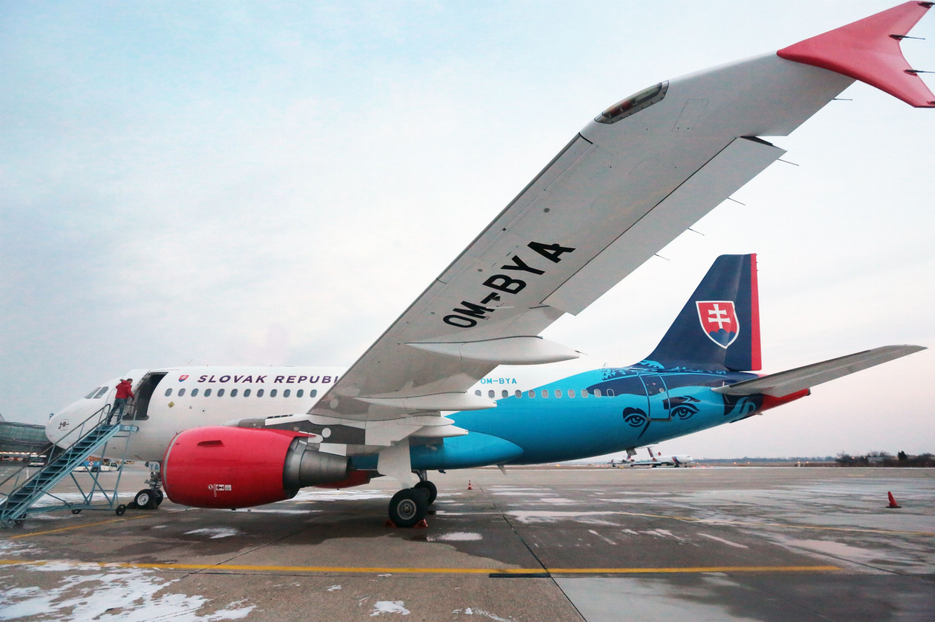 Slovensko vlani dokončilo obnovu svojej vládnej letky, dorazil k nám aj Airbus A319 od švajčiarskej firmy.
