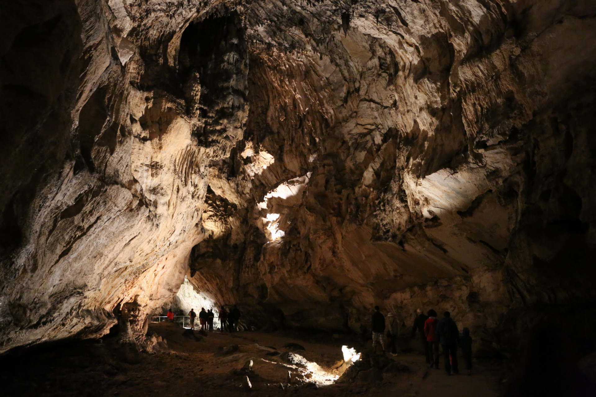 Demänovská ľadová jaskyňa predstavuje severnú časť svetoznámych Demänovských jaskýň. Pozoruhodná je výskytom trvalej ľadovej výplne, bizarnými a mohutnými tvarmi podzemných priestorov, vzácnou jaskynnou faunou, ako aj bohatou históriou.

Prehliadková trasa prechádza cez mohutné riečne chodby, poprepájané strmými úsekmi. Prvá časť trasy vedie cez jaskynné priestory so sintrovou výzdobou, druhá časť cez zaľadnené priestory jaskyne.

Kombináciou sintrovej a ľadovej výzdoby vzniká veľmi zaujímavý prehliadkový okruh, na ktorom sa návštevníci môžu dozvedieť o vytváraní jaskynných priestorov, vzniku sintrovej výzdoby, o podmienkach zaľadnenia jaskyne ako aj vplyve zaľadnenia na pôvodnú sintrovú výplň. Jaskynné priestory pozostávajú z oválnych, riečne modelovaných chodieb a dómovitých priestorov dotvorených rútením a mrazovým zvetrávaním.

Prehliadkový okruh má dĺžku 650 m a prevýšenie 48 m, návštevníci však v jaskyni prejdú 800 m. Vchod a východ sú v rovnakej nadmorskej výške, vzdialenosť medzi nimi je iba 40 m. Pobyt v jaskyni trvá asi 45 min. Teplota v jaskyni počas letných mesiacov kolíše od +0,4°C do +3°C.
Vstupné: 
Dospelí: 8 eur 
Deti 6-15 rokov: 4 eurá
Študenti a osoby do 60 rokov: 7 eur