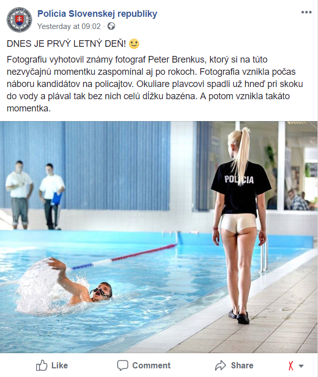 Nomináciu získala aj facebooková stránka Polície Slovenskej republiky. Na svojom profile zverejnila obrázok, ktorý zaujal verejnosť nie práve v pozitívnom duchu. 