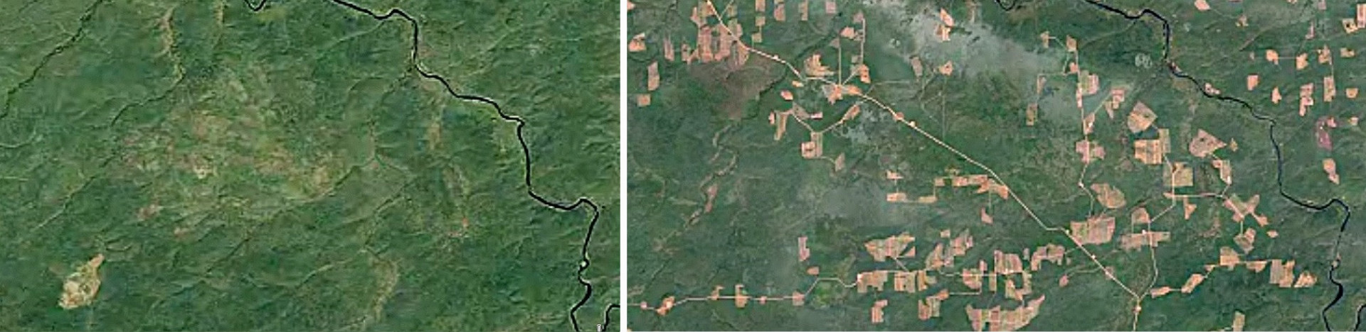 Ruská tajga v Zabajkalskej oblasti v roku 2007 (vľavo) a 2016 (vpravo).
