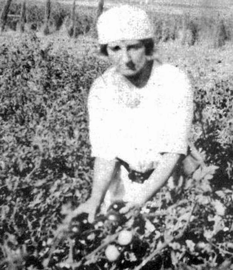 Golda Meyersonová pri práci v kibuce Merhavia v dvadsiatych rokoch minulého storočia.