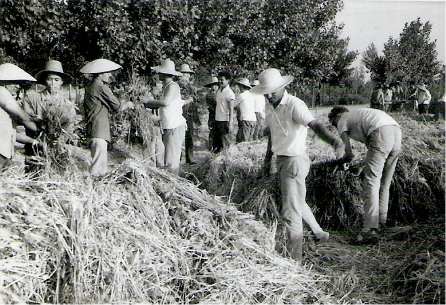 Kľúčovou oblasťou reforiem sa stalo poľnohospodárstvo, v ktorom boli zamestnané viac než dve tretiny čínskych pracujúcich. 