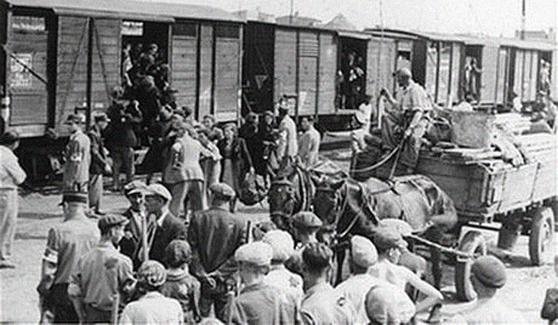 Na násilný masový transfer využila sovietska moc 180 špeciálnych vlakov s dobytčími vagónmi, cesta do strednej Ázie nimi trvala takmer mesiac
