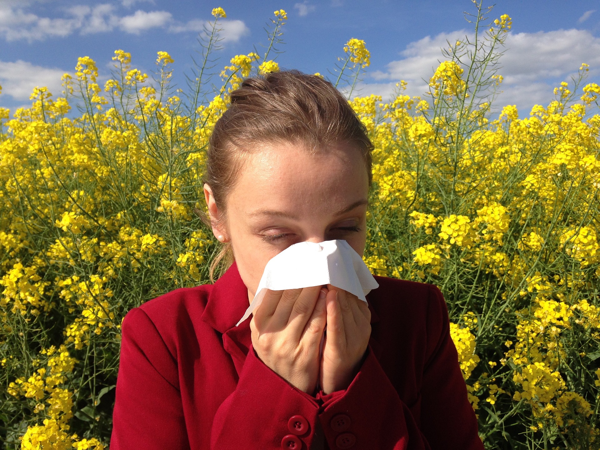 Máte vy alebo druhý rodič alergiu či astmu? To je jedna z prvých otázok, ktoré padnú v detskej alergologickej ambulancii. Lekári vedia, prečo sa pýtajú. Ak trpí chorobou jeden rodič, je riziko 40 percent, že dieťa ochorie tiež.

Ak trávy, roztoče či prach vadia mame aj otcovi, je pravdepodobnosť až 60-70 percent, že potomok na tom bude rovnako. Alergia matky pritom hrá v dedičnosti o niečo väčšiu úlohu.

V menšej miere sa dedia aj vlohy k astme. "O tom, či sa choroba rozvinie, mnohokrát rozhodujú ďalšie vplyvy, vrátane vonkajšieho prostredia, znečistenia ovzdušia či spôsobu stravovania," uvádza lekárka Jana Yanov.