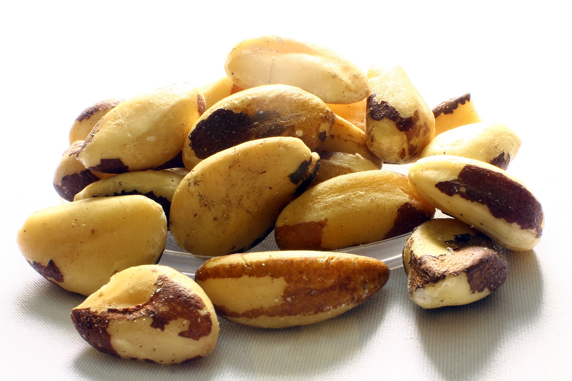 Brazílske orechy, morské plody, ovos a hnedá ryža sú skvelými zdrojmi selénu, minerálu na boj proti rakovine. Štúdia publikovaná v časopise Journal of Biological Chemistry zistila, že zlúčeniny selénu posilňujú imunitný systém, čo mu umožňuje bojovať proti určitým typom rakoviny, ako je leukémia a melanóm. Vyvarujte sa však konzumácii mäkkýšov a surových rýb - môžu vás vystaviť vyššiemu riziku chorôb prenášaných potravinami počas liečby. Držte sa sladkovodných rýb, ako je losos a sumec, a vždy sa uistite, že sú úplne uvarené.