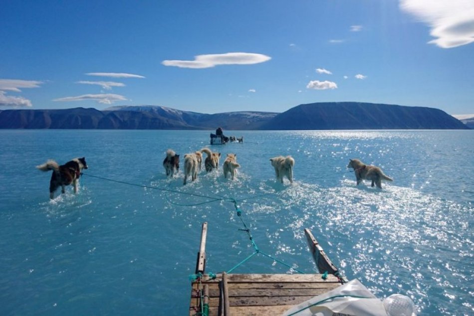 Fotografia ťažných psov,ktoré sa brodia topiacim sa ľadovcom, sa stala jedným z ikonických záberov globálneho otepľovania.