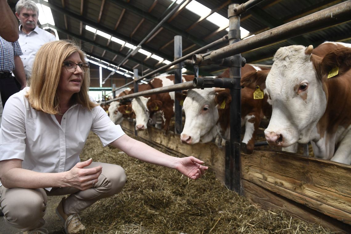 Agrorezort Gabriely Matečnej sa chce inšpirovať v zahraničí. Až 90 percent krajín EÚ poskytuje príspevky na likvidáciu uhynutých zvierat.