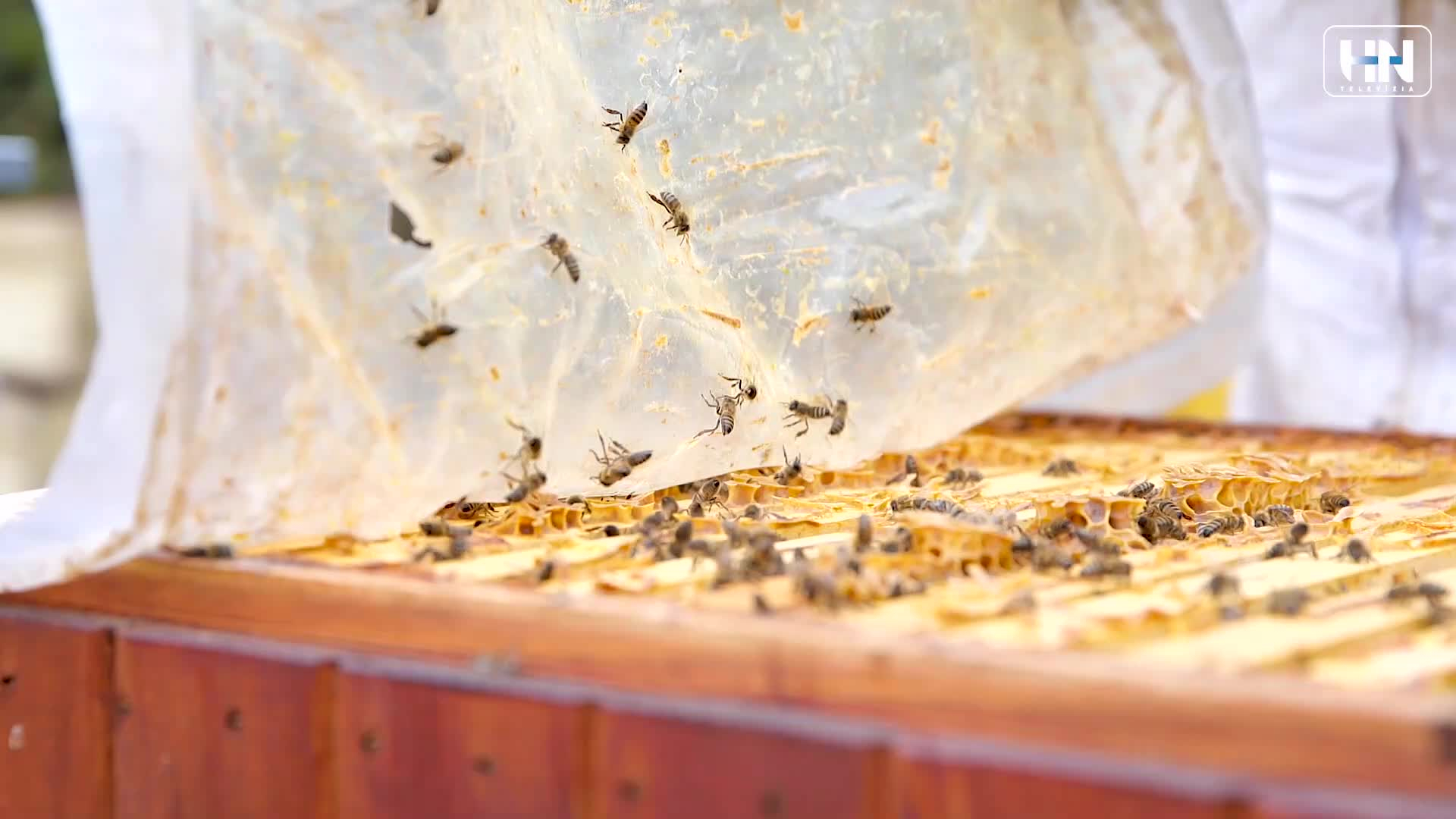 2b22d3db-9114-4cd9-939e-7df11208d315