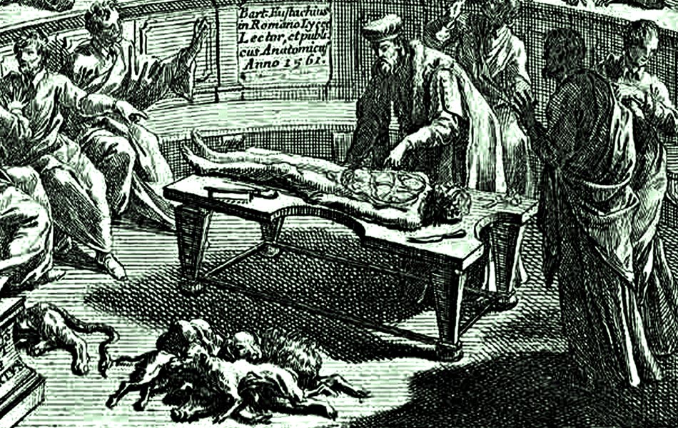 Verejné anatomické predstavenia tvorili v 17. storočí významnú spoločenskú udalosť a za vstupenky sa platili pomerne vysoké sumy.