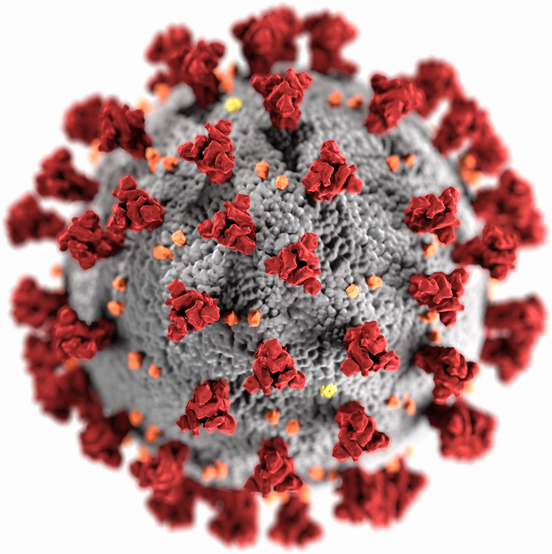 Pandémia vírusu SARS-CoV vypukla v roku 2003. Udáva sa, že epidémia SARS si vyžiadala 774 obetí z 30 krajín. Od roku 2004 nie sú známe nové prípady infekcie týmto typom koronavírusu. Ďalšie vírusové respiračné ochorenie, vyvolané vírusom MERS prvý raz vypuklo v roku 2012 v krajinách Blízkeho Východu. V nasledujúcich rokoch vypukli ďalšie, menšie epidémie. Uvádza sa, že celkovo usmrtil 842 pacientov. 