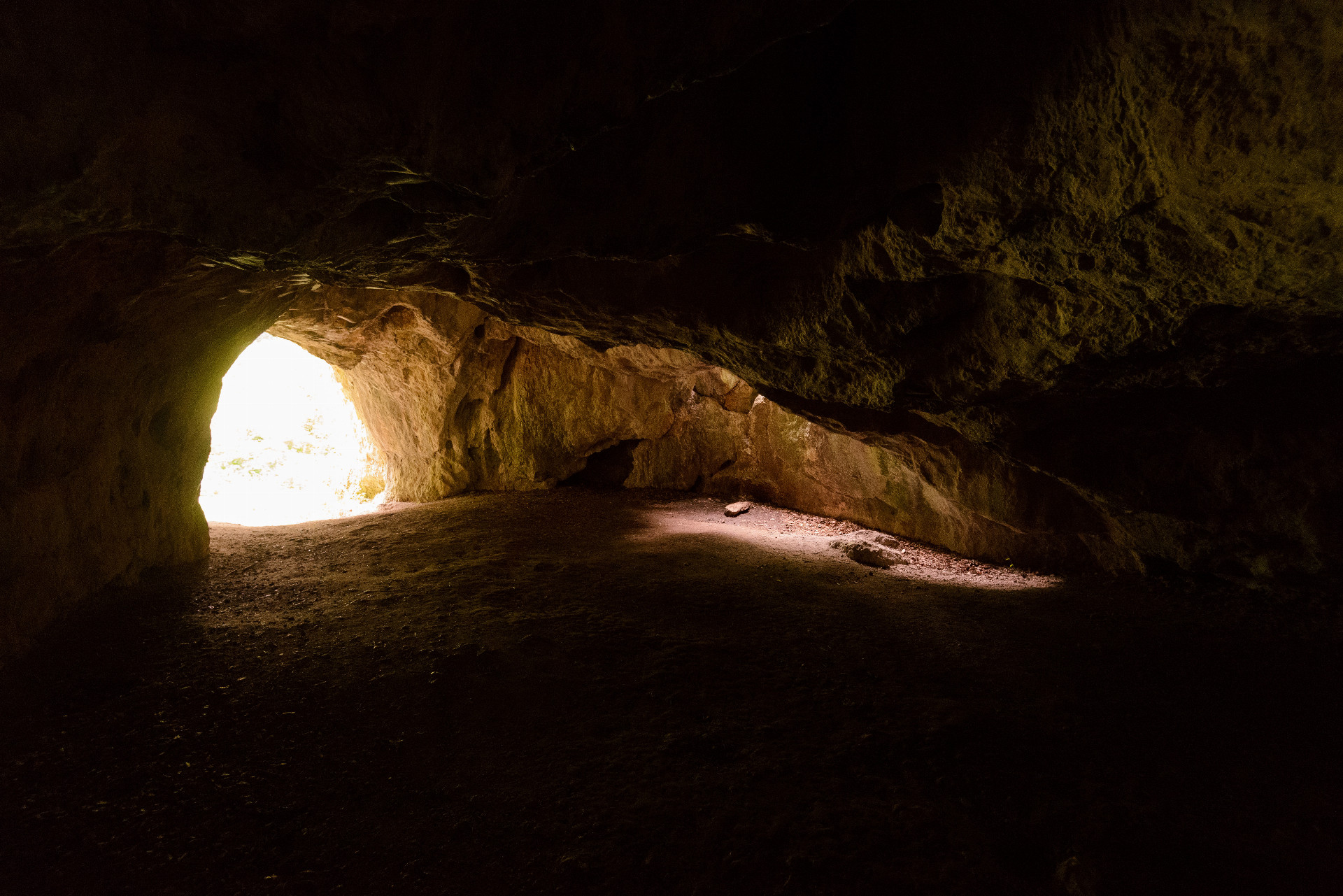 7cea06e0-8df4-4758-8acd-f7af6b97a5a9