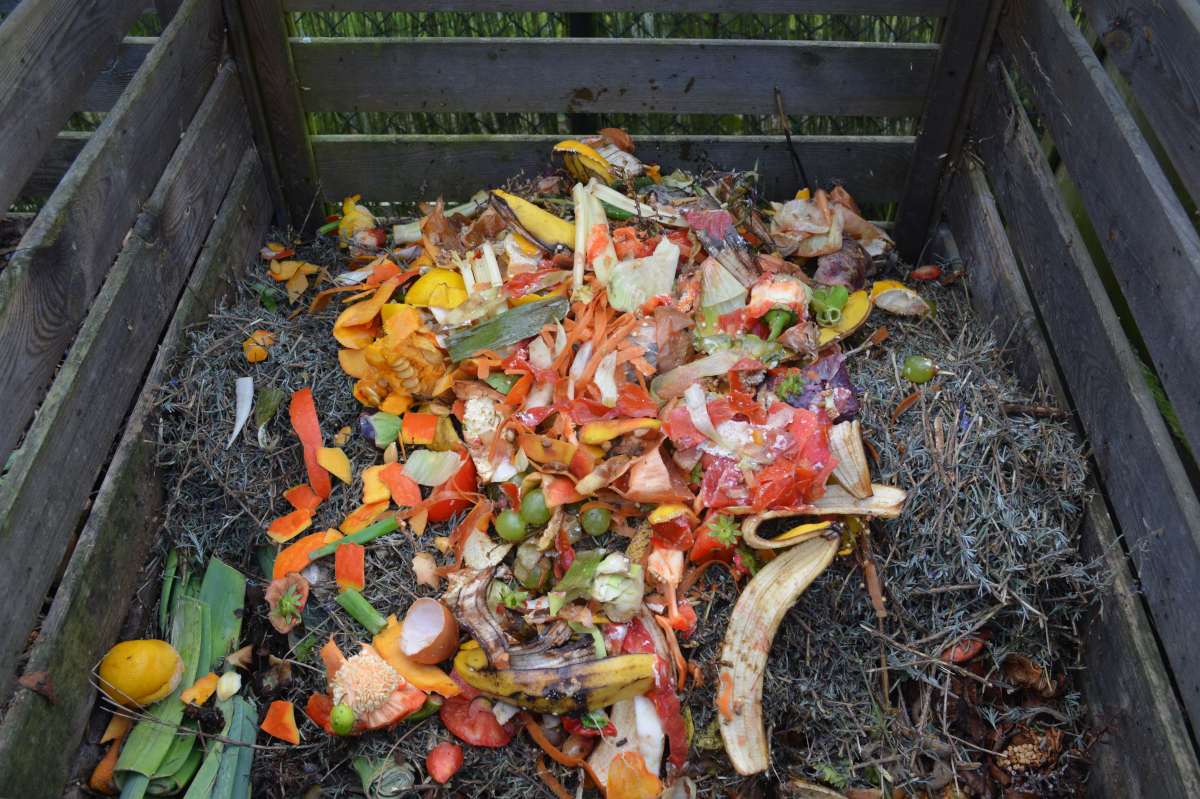 Zo zvyškov potravín vznikne po pridaní zeleného bioopadu kompost použiteľný napríklad pri úpravách parkov