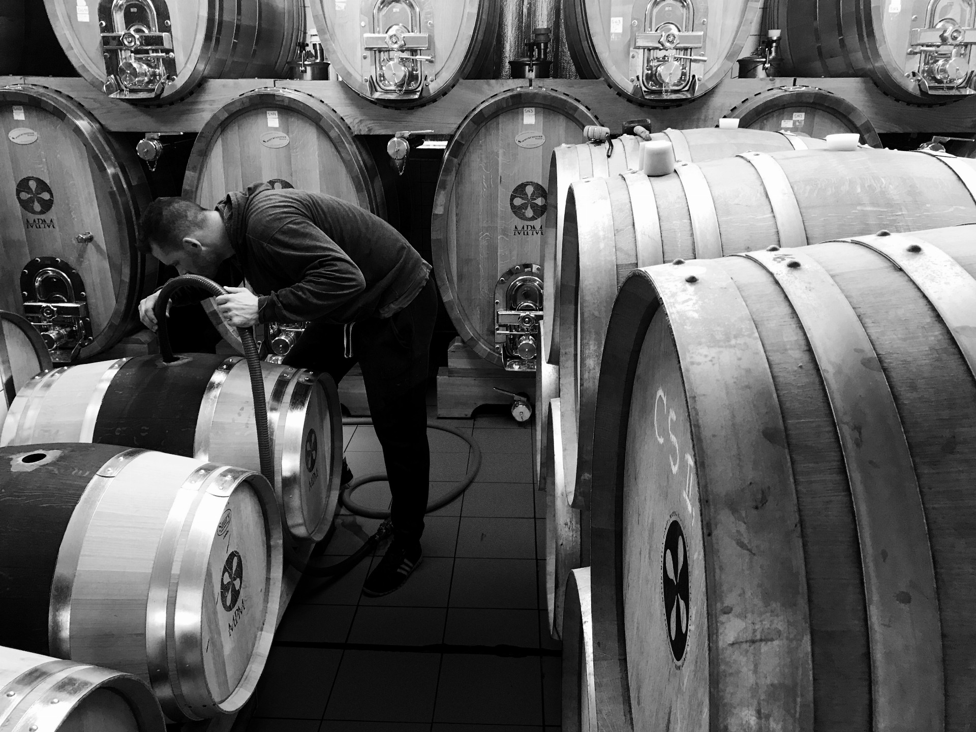 Juraj Kvačala prešiel dlhú cestu, dnes vkladá svoje úsilie do špičkových slovenských vín vo vinárstve MAVÍN