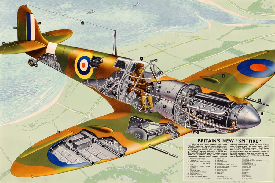 Grafický prierez modernizovanou, štvrtou verziou stíhačky Supermarine Spitfire z roku 1944.