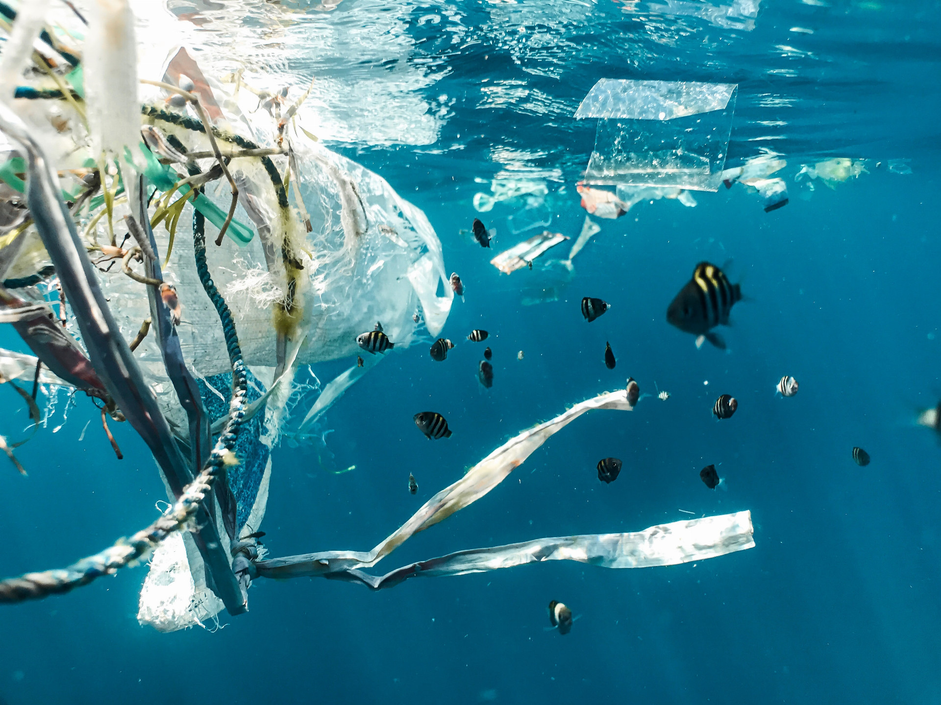 Asi dvadsať percent zo130 miliónov metrických ton plastového odpadu skončilo v našich oceánoch (ilu)