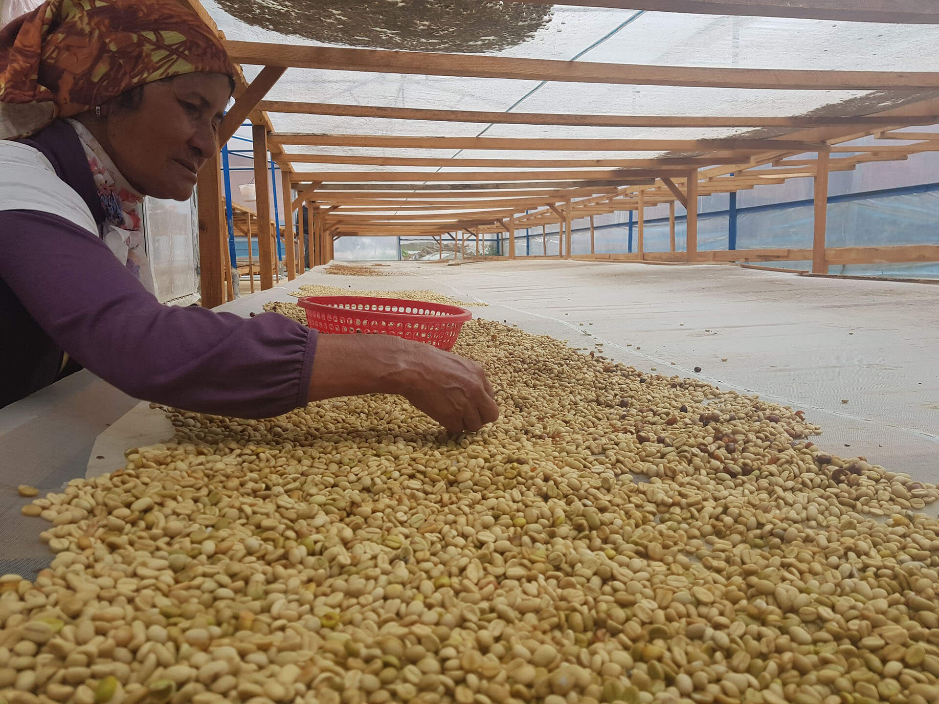 Peter Szabó z coffeein.sk