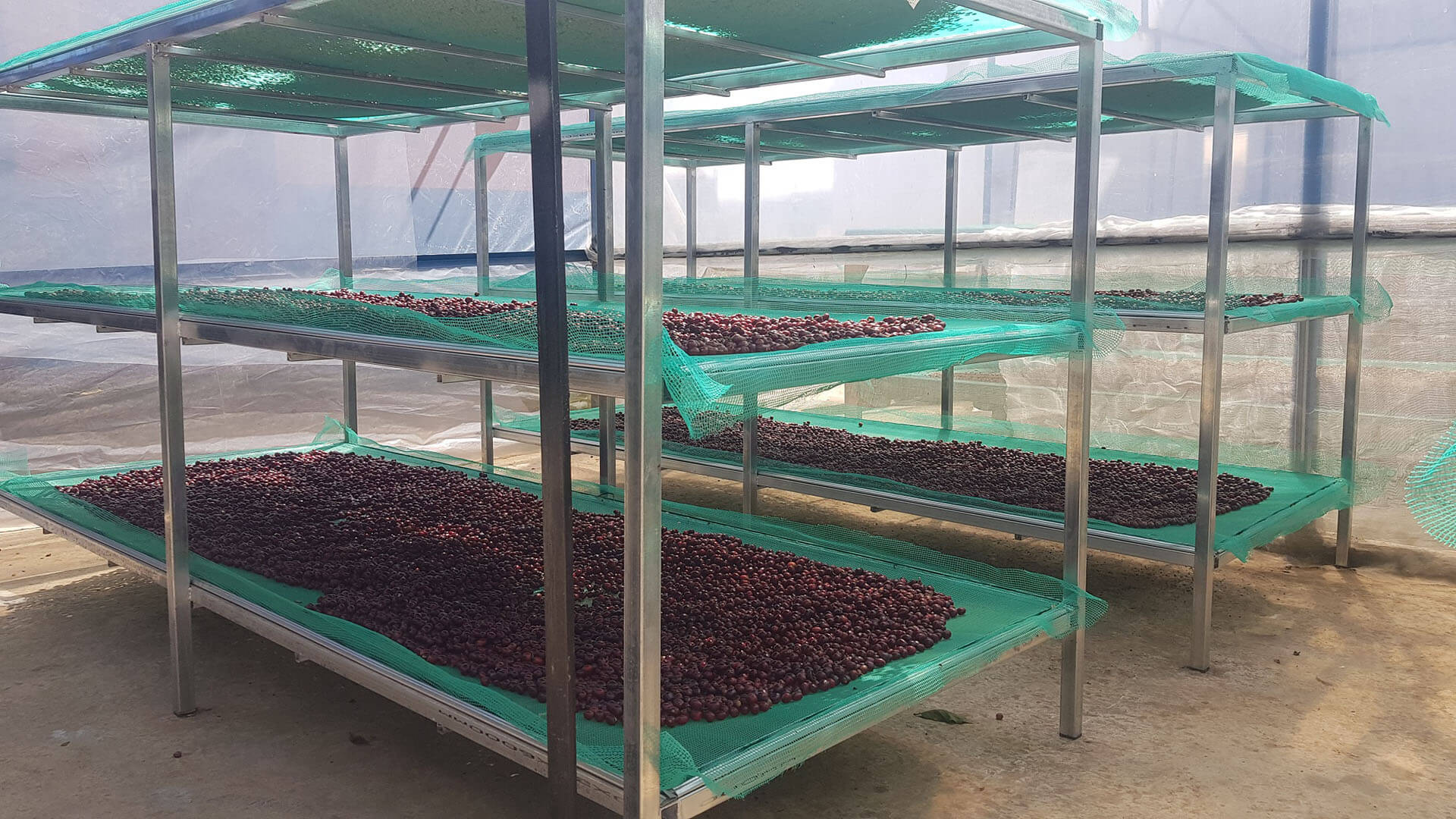 Peter Szabó z coffeein.sk