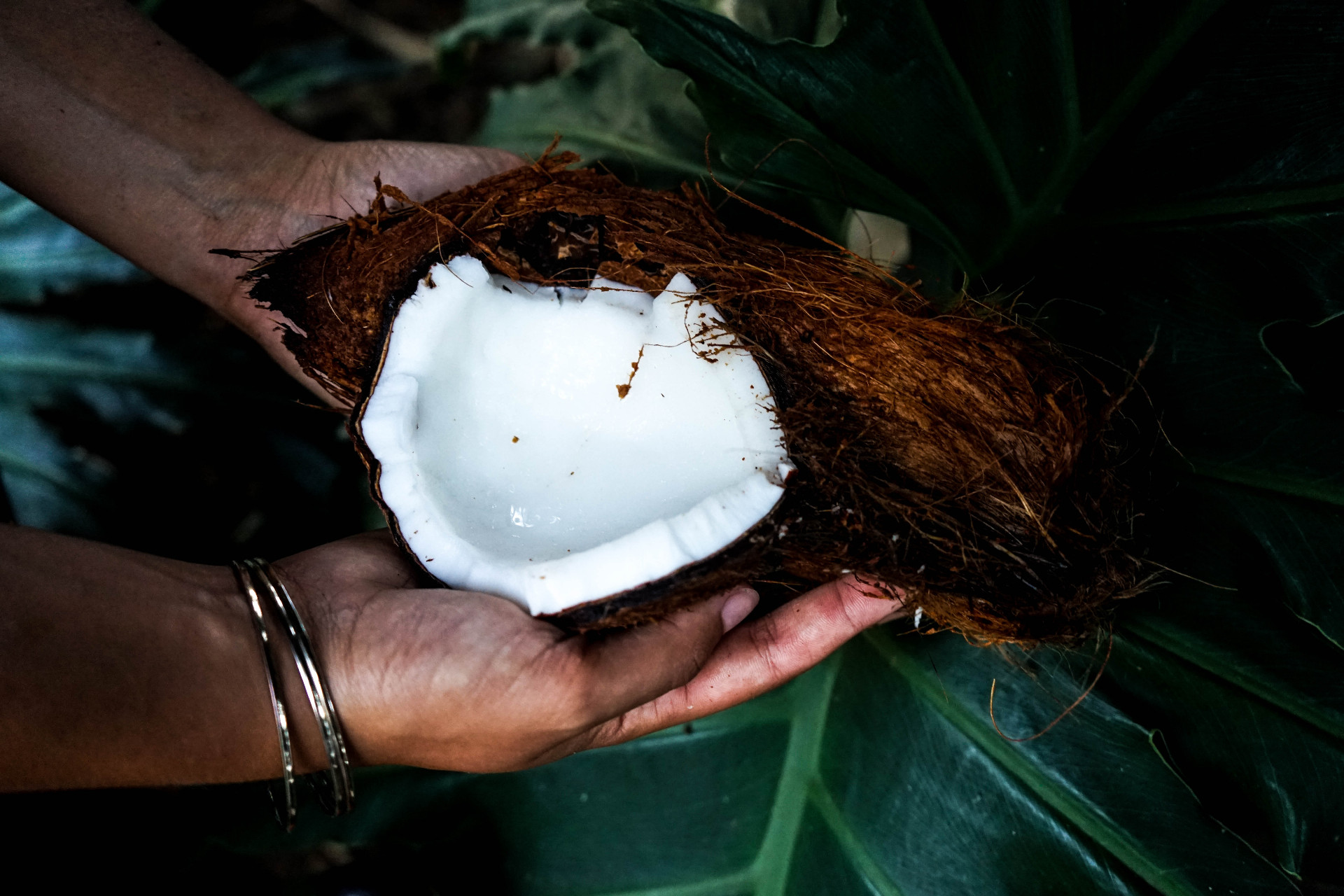 Muži museli prežiť na kokosových orechoch (ilu)