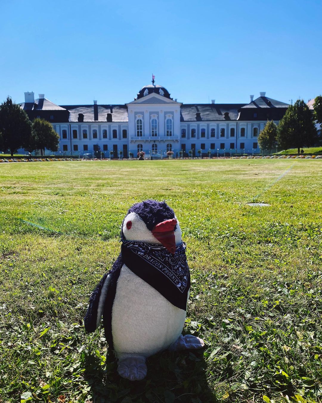 Plyšový tučniak Miško cestuje po svete