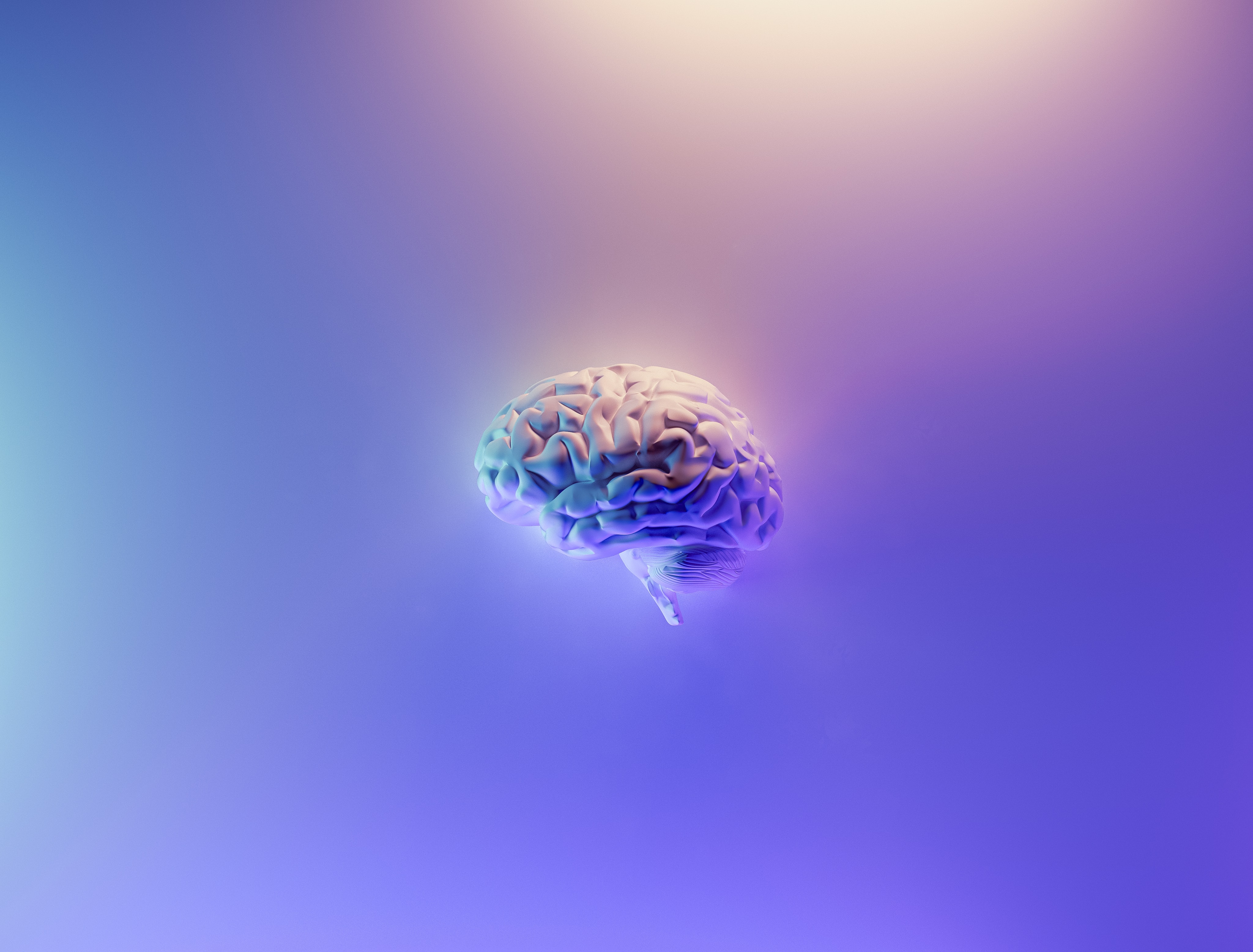 Počítačová vizualizácia mozgu