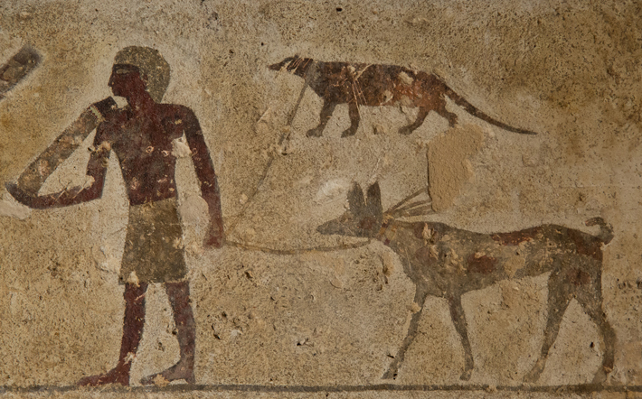 Domáci miláčikovia starých Egypťanov