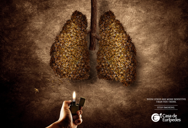 Your lungs are more sensitive than you think.