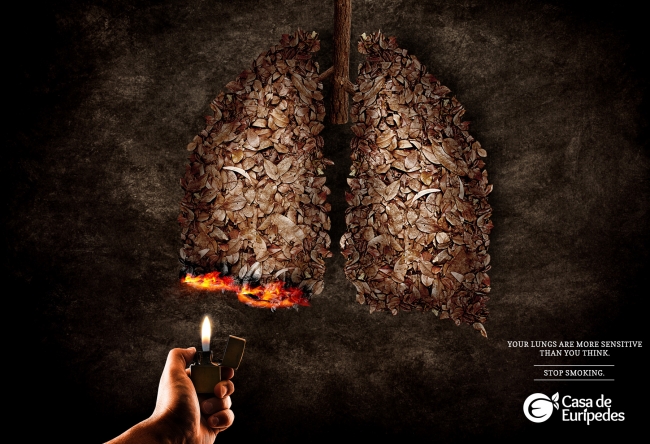 Your lungs are more sensitive than you think.