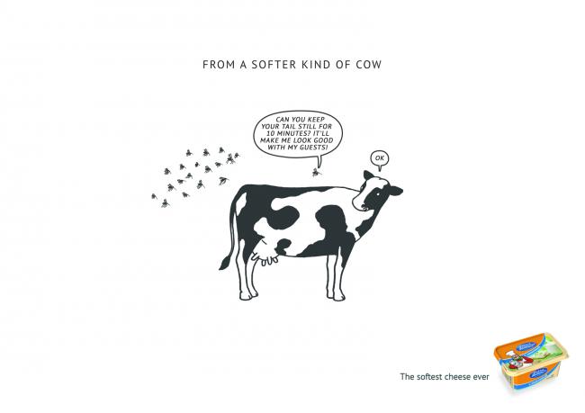 Softer kind of cow