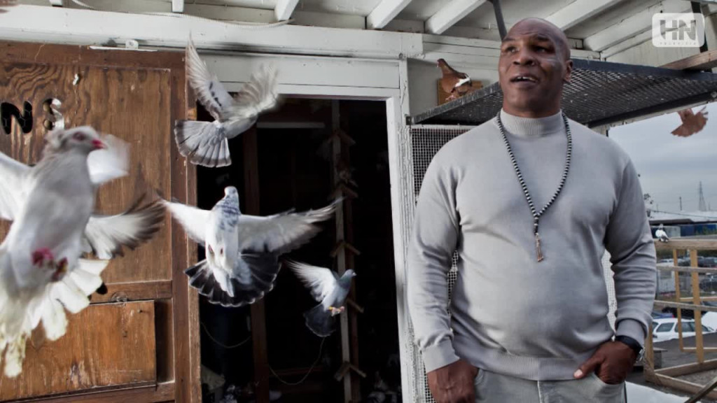 Pre&scaron;lapy - Tyson6