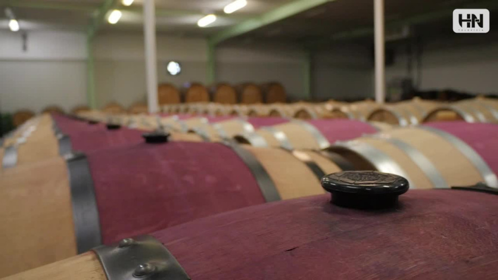 Success story - Maty&scaron;&aacute;k154