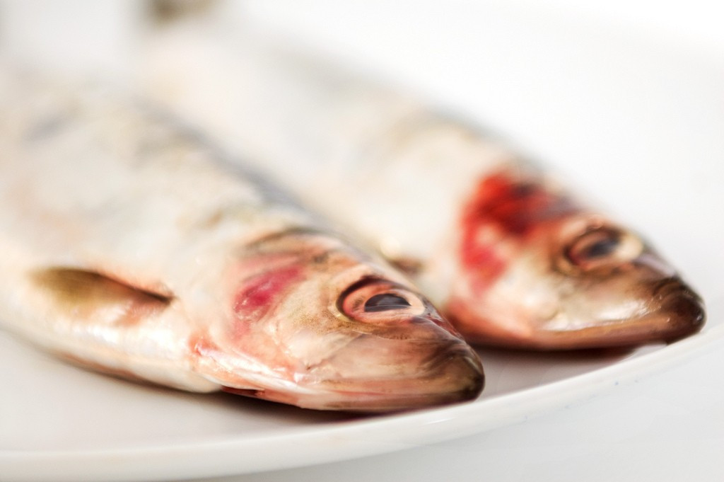 Losos, makrela a sleď - tieto druhy rýb sú nabité omega-3 mastnými kyselinami vhodnými pre srdce s vysokým podielom kvalitných bielkovín a dôležitých živín. Štúdie ukazujú, že ľudia, ktorí jedia ryby, majú tendenciu byť oveľa zdravší, majú nižšie riziko ochorenia srdca, depresií, demencie a ďalších bežných ochorení. Ak však ryby nemusíte, snažte sa do jedálnička pridať aspoň rybí olej. Tresčia pečeň obsahuje všetky omega 3 mastné kyseliny aj vitamín D. 